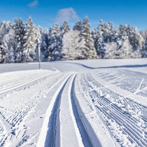 Skidpår i vacker vintermiljö