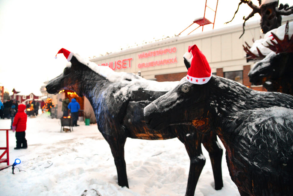 God Jul, tomteluvor, älgar, älgfamiljen