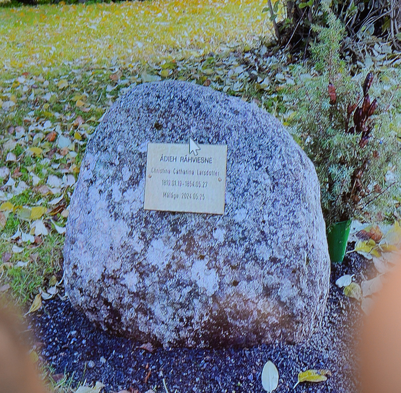 Åke Lundgren om Långa Lappflickan. Sista vilan i Malå. Gravsten. Foto Kent Norberg 250206.