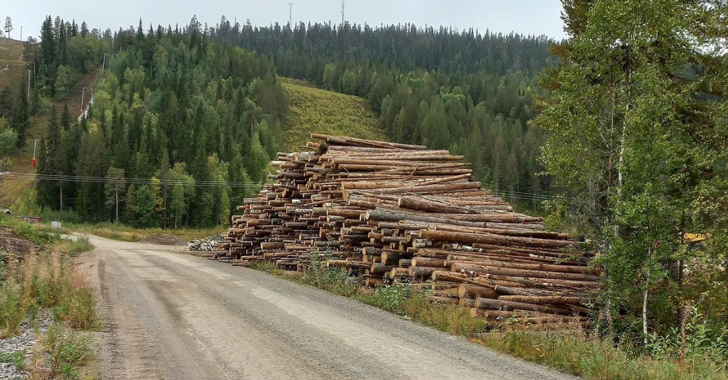 virke-prastberget-liggande